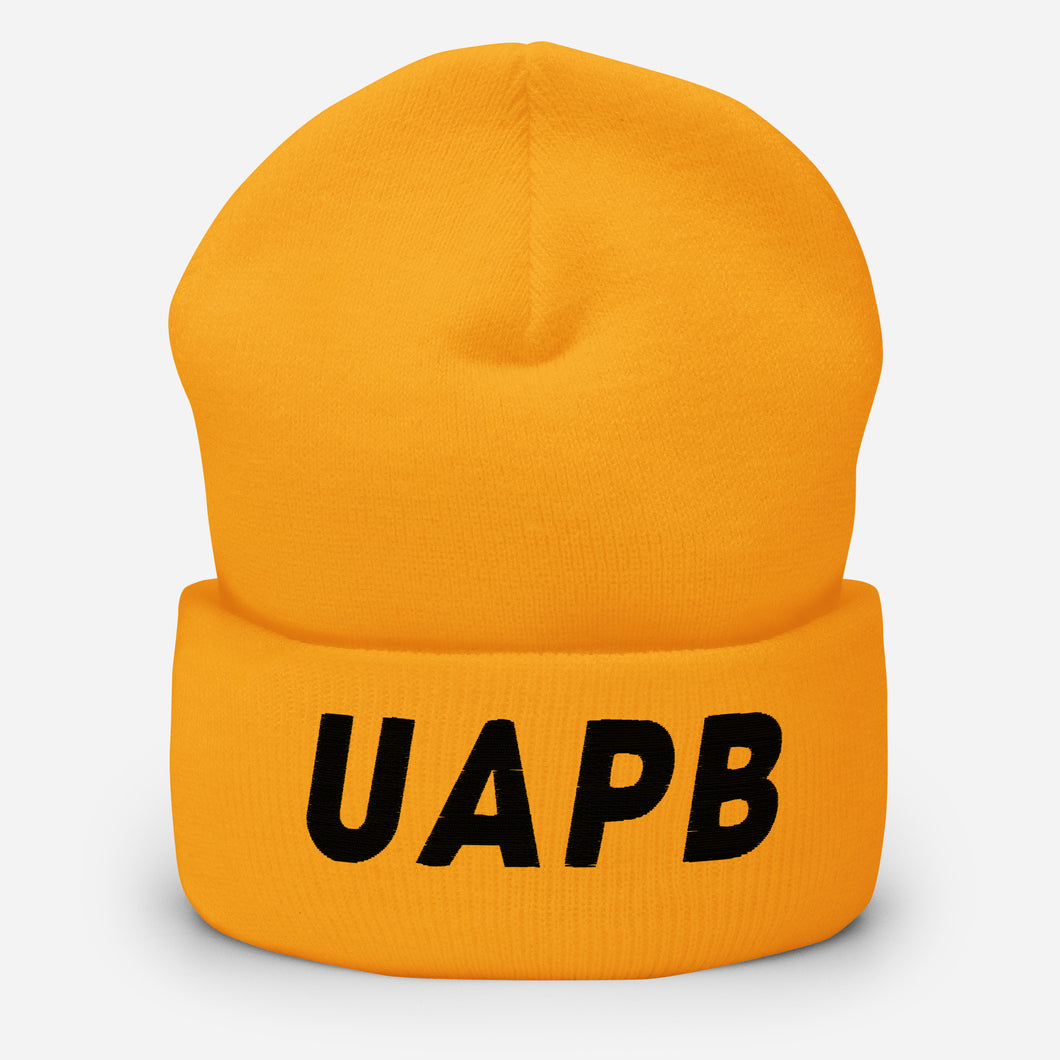 UTO IV UA PINE BLUFF Cuffed Beanie