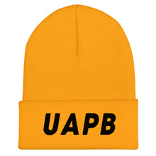 Load image into Gallery viewer, UTO IV UA PINE BLUFF Cuffed Beanie
