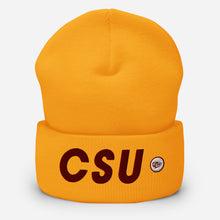 Load image into Gallery viewer, UTO IV Central State Cuffed Beanie
