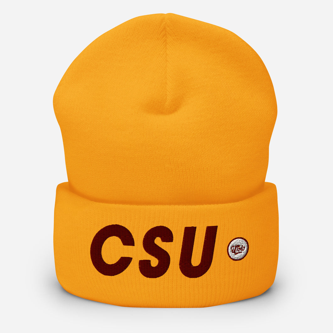 UTO IV Central State Cuffed Beanie