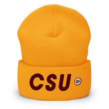 Load image into Gallery viewer, UTO IV Central State Cuffed Beanie
