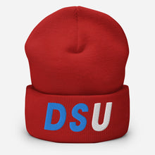 Load image into Gallery viewer, UTO IV DELAWARE STATE Cuffed Beanie
