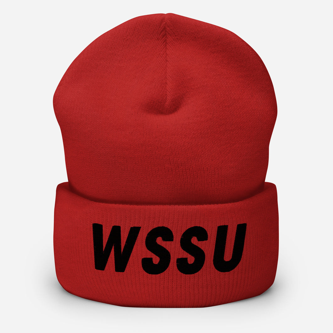 UTO IV WINSTON-SALEM Cuffed Beanie