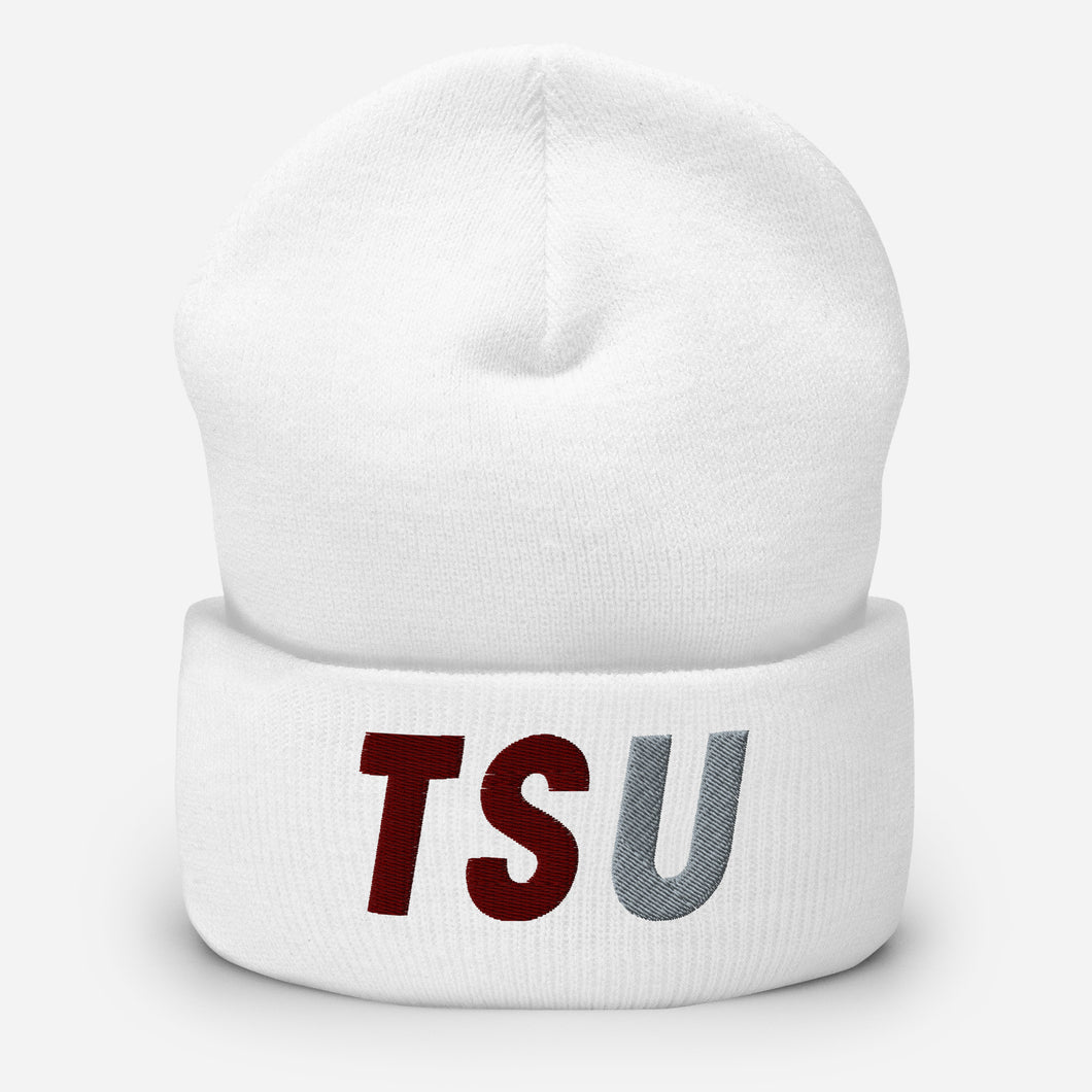 UTO IV TEXAS SOUTHERN Cuffed Beanie