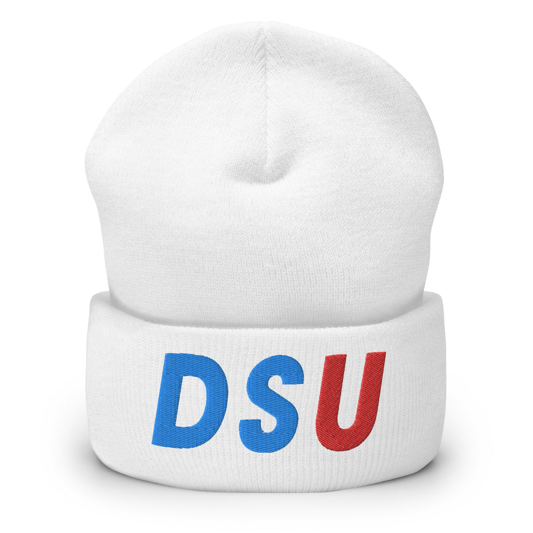 UTO IV DELAWARE STATE Cuffed Beanie