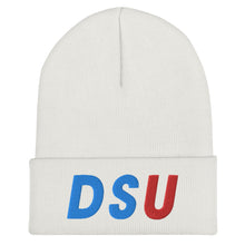 Load image into Gallery viewer, UTO IV DELAWARE STATE Cuffed Beanie
