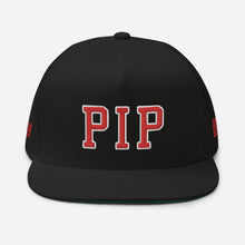 Load image into Gallery viewer, UTO IV &quot;PIPPEN PIP&quot; Flat Bill Cap
